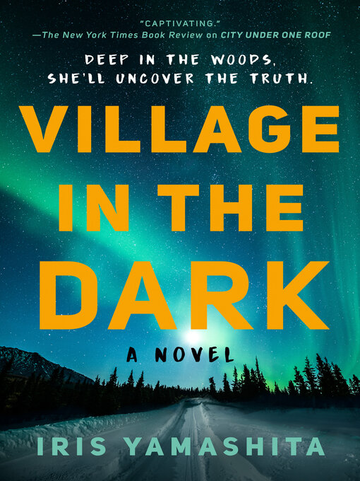 Cover image for Village in the Dark